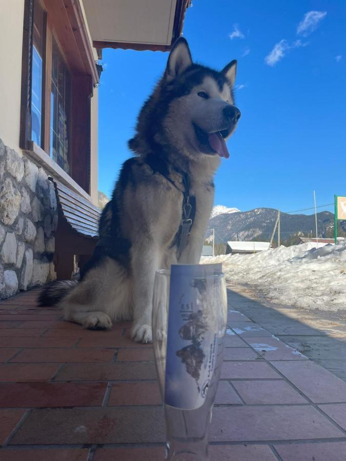 Al Cervo Albergo - Hotel Stabiziane Luaran gambar