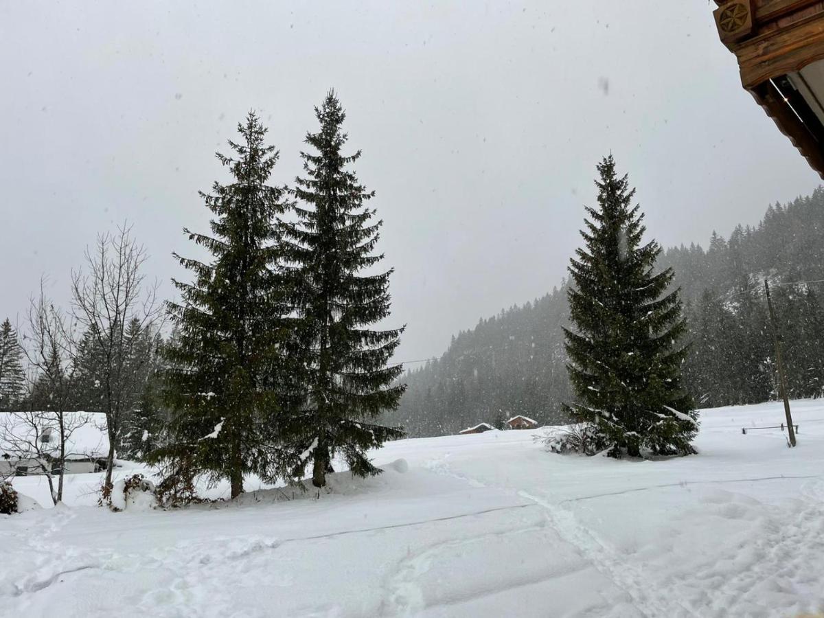 Al Cervo Albergo - Hotel Stabiziane Luaran gambar