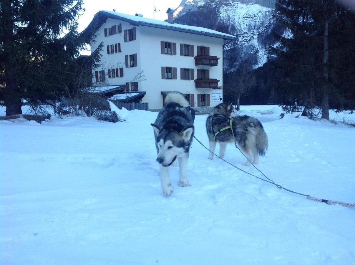Al Cervo Albergo - Hotel Stabiziane Luaran gambar