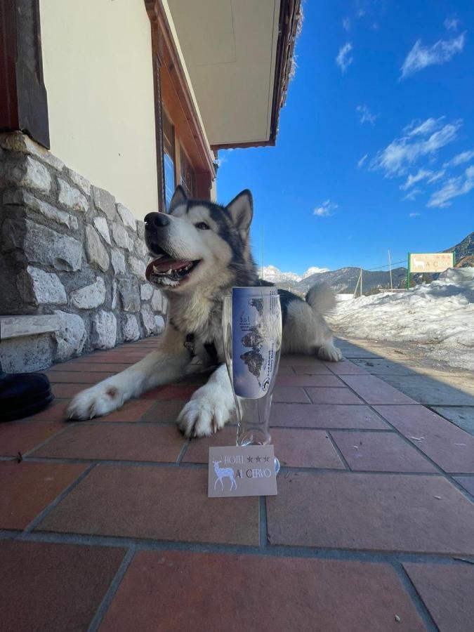 Al Cervo Albergo - Hotel Stabiziane Luaran gambar